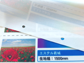 鮮やかな染色が可能